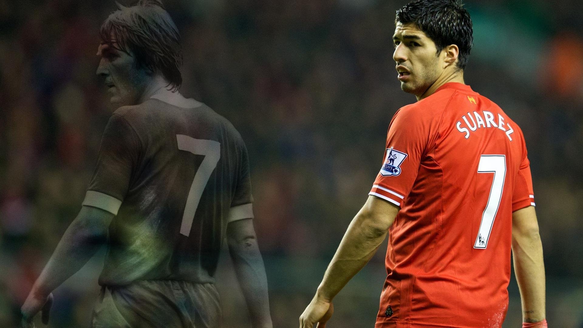 世界杯后重建计划全面启动,世界杯之后的赛程